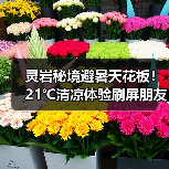 灵岩秘境避暑天花板！21℃清凉体验刷屏朋友圈(图1)