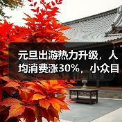 元旦出游热力升级，人均消费涨30%，小众目的地受追捧(图3)