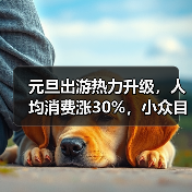 元旦出游热力升级，人均消费涨30%，小众目的地受追捧(图4)