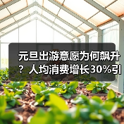 元旦出游意愿为何飙升？人均消费增长30%引关注(图3)