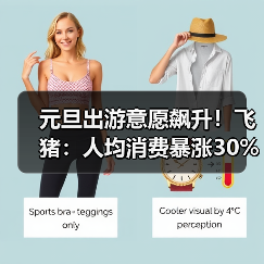 元旦出游意愿飙升！飞猪：人均消费暴涨30%(图4)