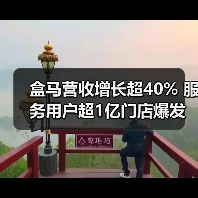 盒马营收增长超40% 服务用户超1亿门店爆发(图2)