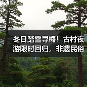 冬日踏雪寻梅！古村夜游限时回归，非遗民俗盛宴邀您共赴跨年之旅(图1)