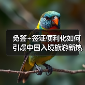 免签+签证便利化如何引爆中国入境旅游新热潮？(图4)
