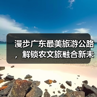 漫步广东最美旅游公路，解锁农文旅融合新未