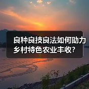 良种良技良法如何助力乡村特色农业丰收？(图4)