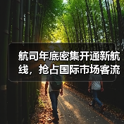 航司年底密集开通新航线，抢占国际市场客流(图2)