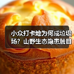 小众打卡地为何成垃圾场?山野生态隐患触目惊心(图2) 小众打卡地为何成垃圾场?山野生态隐患触目惊心(图2)