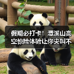 假期必打卡！潭溪山高空惊险体验让你尖叫不已(图4)