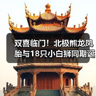 双喜临门！北极熊龙凤胎与18只小白狮同期