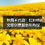 秋雨不挡游！红叶柿岩文旅创意服务引热议(图2)
