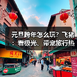 元旦跨年怎么玩？飞猪：看极光、带宠旅行热度大增200%(图1)