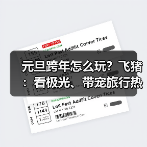 元旦跨年怎么玩？飞猪：看极光、带宠旅行热度大增200%(图4)