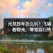 元旦跨年怎么玩？飞猪：看极光、带宠旅行热度大增200%(图3)
