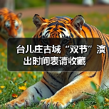 台儿庄古城“双节”演出时间表请收藏(图1)