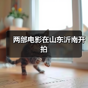 两部电影在山东沂南开拍(图2)