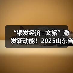 “银发经济+文旅”激发新动能！2025山东省文旅康养供需对接活动举办(图4)