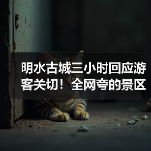 明水古城三小时回应游客关切!全网夸的景区,到底有多“听劝”(图2) 明水古城三小时回应游客关切!全网夸的景区,到底有多“听劝”(图2)