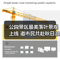 公园景区最美落叶景观上线 邀市民共赴秋日浪漫之约(图3) 公园景区最美落叶景观上线 邀市民共赴秋日浪漫之约(图3)