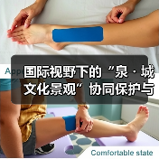 国际视野下的“泉・城文化景观”协同保护与活态传承主题系列活动在济启动(图4) 国际视野下的“泉・城文化景观”协同保护与活态传承主题系列活动在济启动(图4)