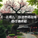 去哪儿：旅游市场迎来最佳错峰期(图4)