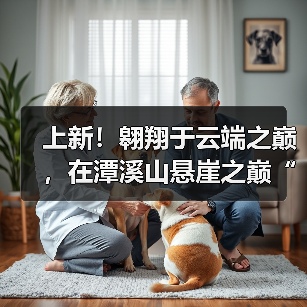 上新!翱翔于云端之巅,在潭溪山悬崖之巅“狂呼”(图3) 上新!翱翔于云端之巅,在潭溪山悬崖之巅“狂呼”(图3)