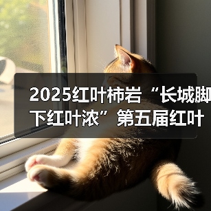 2025红叶柿岩“长城脚下红叶浓”第五届红叶季正式启幕(图4)
