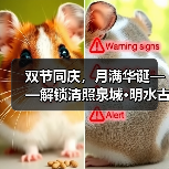 双节同庆,月满华诞——解锁清照泉城·明水古城十一小长假全攻略(图2) 双节同庆,月满华诞——解锁清照泉城·明水古城十一小长假全攻略(图2)