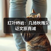 红叶柿岩：几场秋雨见证文旅真诚(图4)