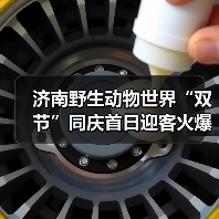 济南野生动物世界“双节”同庆首日迎客火爆(图4) 济南野生动物世界“双节”同庆首日迎客火爆(图4)