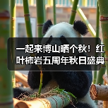 一起来博山晒个秋！红叶柿岩五周年秋日盛典启幕(图1)