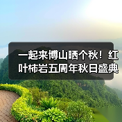 一起来博山晒个秋！红叶柿岩五周年秋日盛典启幕(图4)