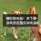 精彩抢先看！天下第一泉风景区国庆中秋游园会即将开启(图1)