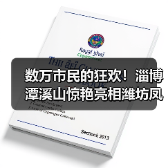数万市民的狂欢！淄博潭溪山惊艳亮相潍坊凤溪地万物集夜市·潍坊融媒之夜音乐会(图4)