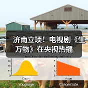 济南立项!电视剧《生万物》在央视热播(图4) 济南立项!电视剧《生万物》在央视热播(图4)