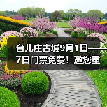 台儿庄古城9月1日——7日门票免费！邀您重走英雄台儿庄(图4)