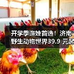 开学季遛娃首选！济南野生动物世界39.9 元起，白 + 黑奇幻旅程等你来探秘(图4)