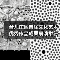 台儿庄区首届文化艺术优秀作品成果展演举行(图3) 台儿庄区首届文化艺术优秀作品成果展演举行(图3)