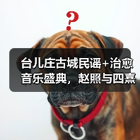 台儿庄古城民谣+治愈音乐盛典，赵照与四熹丸子震撼演绎(图2)