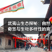 武夷山生态探秘:自然奇景与生物多样性的完美交融(图3) 武夷山生态探秘:自然奇景与生物多样性的完美交融(图3)