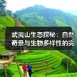 武夷山生态探秘:自然奇景与生物多样性的完美交融(图4) 武夷山生态探秘:自然奇景与生物多样性的完美交融(图4)