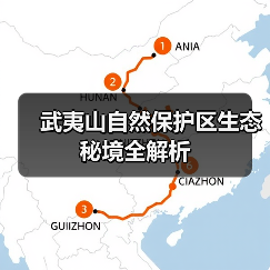 武夷山自然保护区生态秘境全解析(图4)