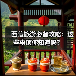 西藏旅游必备攻略：这些事项你知道吗？(图2)