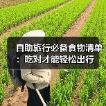 自助旅行必备食物清单：吃对才能轻松出行(图4)