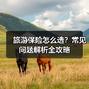 旅游保险怎么选？常见问题解析全攻略(图3)