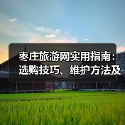 枣庄旅游网实用指南：选购技巧、维护方法及常见问题解析(图2)