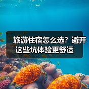 旅游住宿怎么选？避开这些坑体验更舒适(图4)