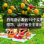 自驾游必看的10个实用技巧,出行安全全掌握(图4) 自驾游必看的10个实用技巧,出行安全全掌握(图4)