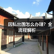 因私出国怎么办理？全流程解析(图2)