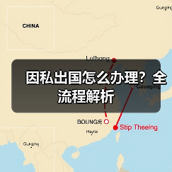 因私出国怎么办理？全流程解析(图3)